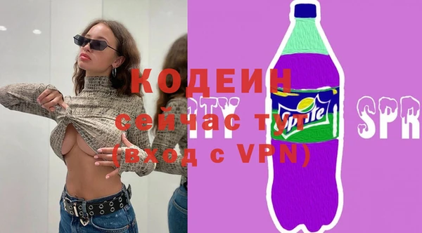 амф Вяземский