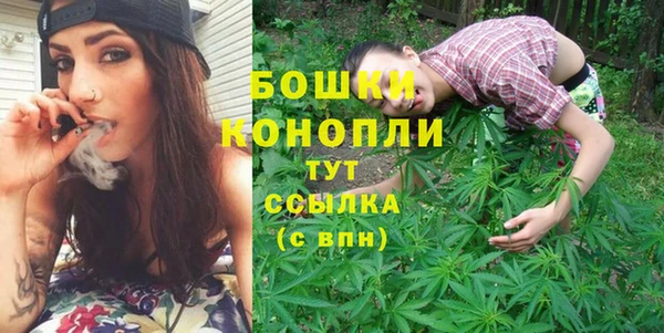 амф Вяземский