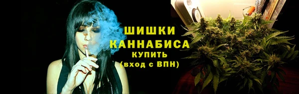 амф Вяземский