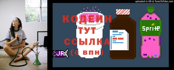 крисы Вязьма