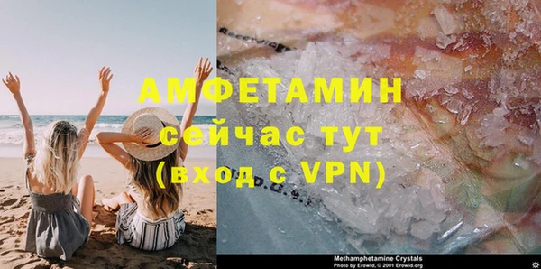 крисы Вязьма