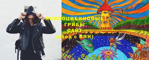 крисы Вязьма