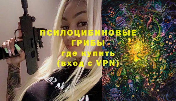 крисы Вязьма