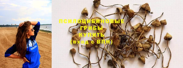 амф Вяземский