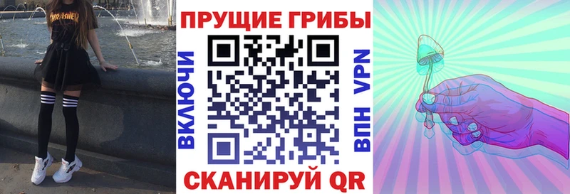 где купить наркотик  Евпатория  Псилоцибиновые грибы Psilocybine cubensis 